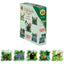 Fluffy Bear Early Puzzle Jungle Animals Set (5 Progressive Puzzles) (Ages 2-4 Years)